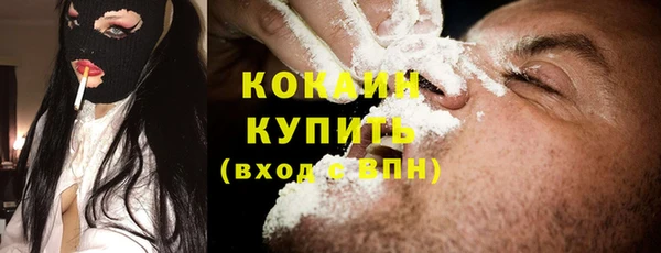 хмурый Алексин