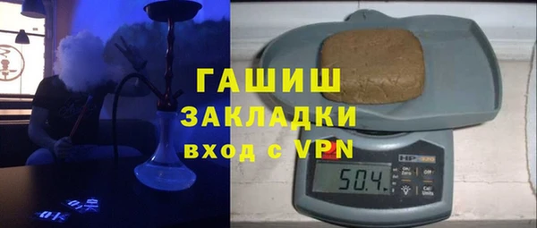 хмурый Алексин