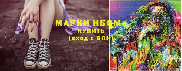 хмурый Алексин