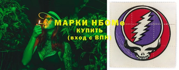 хмурый Алексин